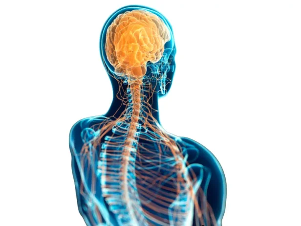 افضل دكتور جراحة مخ واعصاب وعمود فقري
